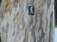 Humble beginnings. ~Waldo