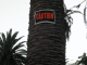 Palm Trees Indeed!