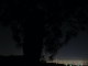 The skyline... ~Waldo