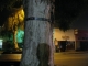 Smokers gather here. ~Waldo