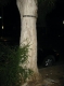 It's a wraparound... door? ~Waldo