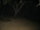 And the sign is even easy to see at night! ~Waldo
