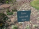 Enter here