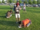 Runners prepare
