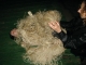 Spidere and string