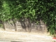 The wall