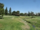 The garden