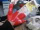 Thumb takes shape