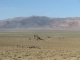 Desert