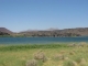 Oasis