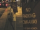 On Ocean Avenue