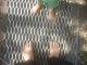 Grate