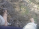 No shoes