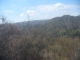 A view