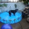 DSC07069.JPG
