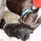 DSC07174.JPG