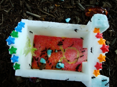 So...where's the Preacher?