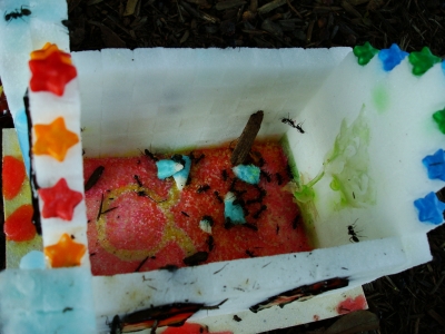 The scene of the crime