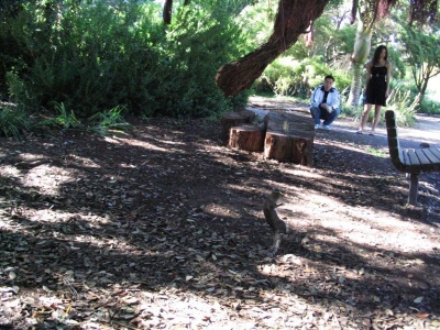 Finally, a suspended squirrel.