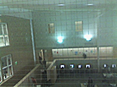 My stakeout. My stakeout.