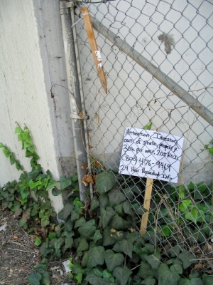 Business opportunity!