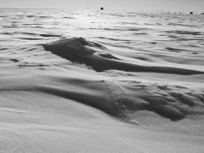 Loki: Black and White