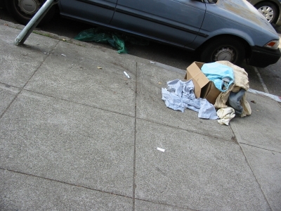 The sidewalk on my block.