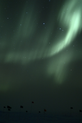 A nicely feathered aurora.