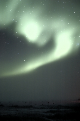 Desperately casting about for a foreground.