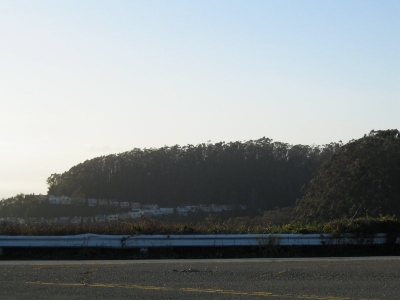 A lonely Mt. Sutro. A lonely Mt. Sutro.