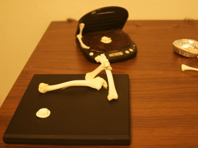 Display case.