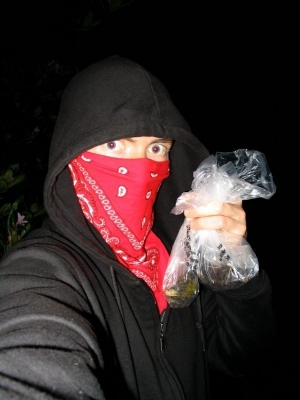 The Black Bloc says, clean up after your pets!