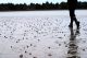 More mud