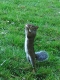 Yet more cutepr0n.