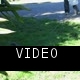 Fishing for squirrels