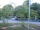 Crossing a shrubbery.