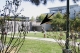 park_wideshot_annotated.jpg