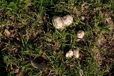 IMG_2486.jpg IMG_2486.jpg