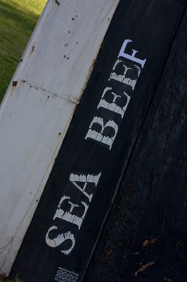 IMG_2502.jpg IMG_2502.jpg