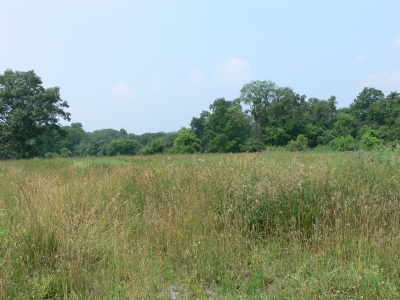 The rest of the gardens