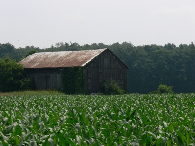 We finally approach the barn.