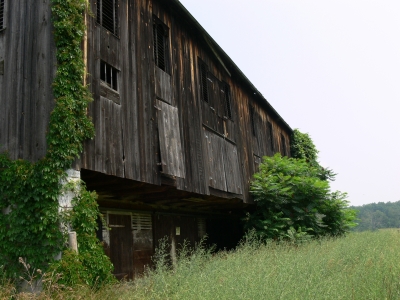 Back of the barn