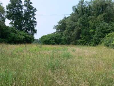 On my right side....