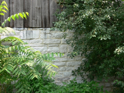 The wall of the barn, where I put my letter