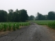 Downhill