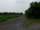 Fork in the road