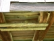 Nest 2