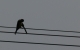 Swallow 2