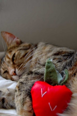 lunch with berry_3.jpg