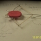 Pink Pearl Eraser Crossbow
